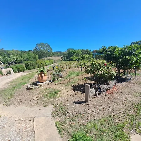 La Rouillere 2 - Authenticite Maison 4 Pers En Bord De Ruisseau Au Coeur Des Vignes Villa Ramatuelle